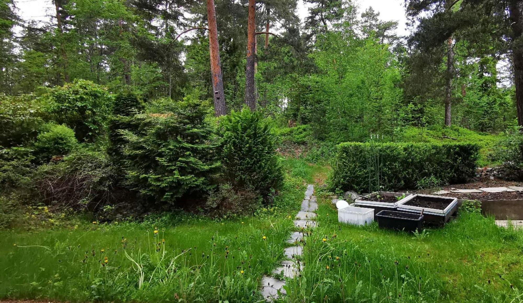 Holmenkollen Forest House Free Parking Lejlighed Oslo Eksteriør billede