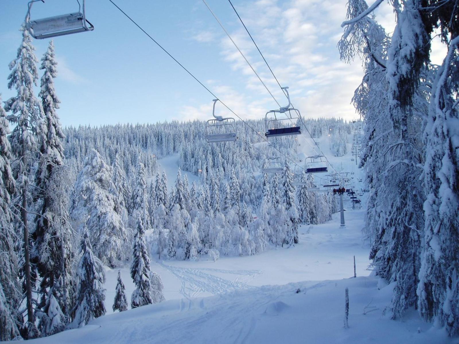 Holmenkollen Forest House Free Parking Lejlighed Oslo Eksteriør billede